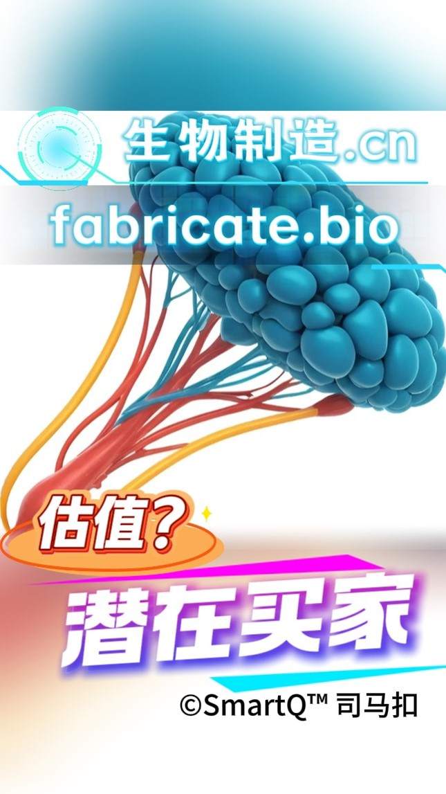 一张关于生物制造的域名展示配图。画面顶部有发光的“生物制造.cn”和“fabricate.bio”字样。画面中心是一个由许多蓝色球状颗粒组成的多叶结构（类似细胞集群或生物组织），下方连接着红、黄、蓝交织的管状结构（类似血管或神经束）。背景是明亮的浅蓝色。画面底部有橙色的“估值？”和紫白色的“潜在买家”字样，右下角带有“©SmartQ™ 司马扣”的水印。